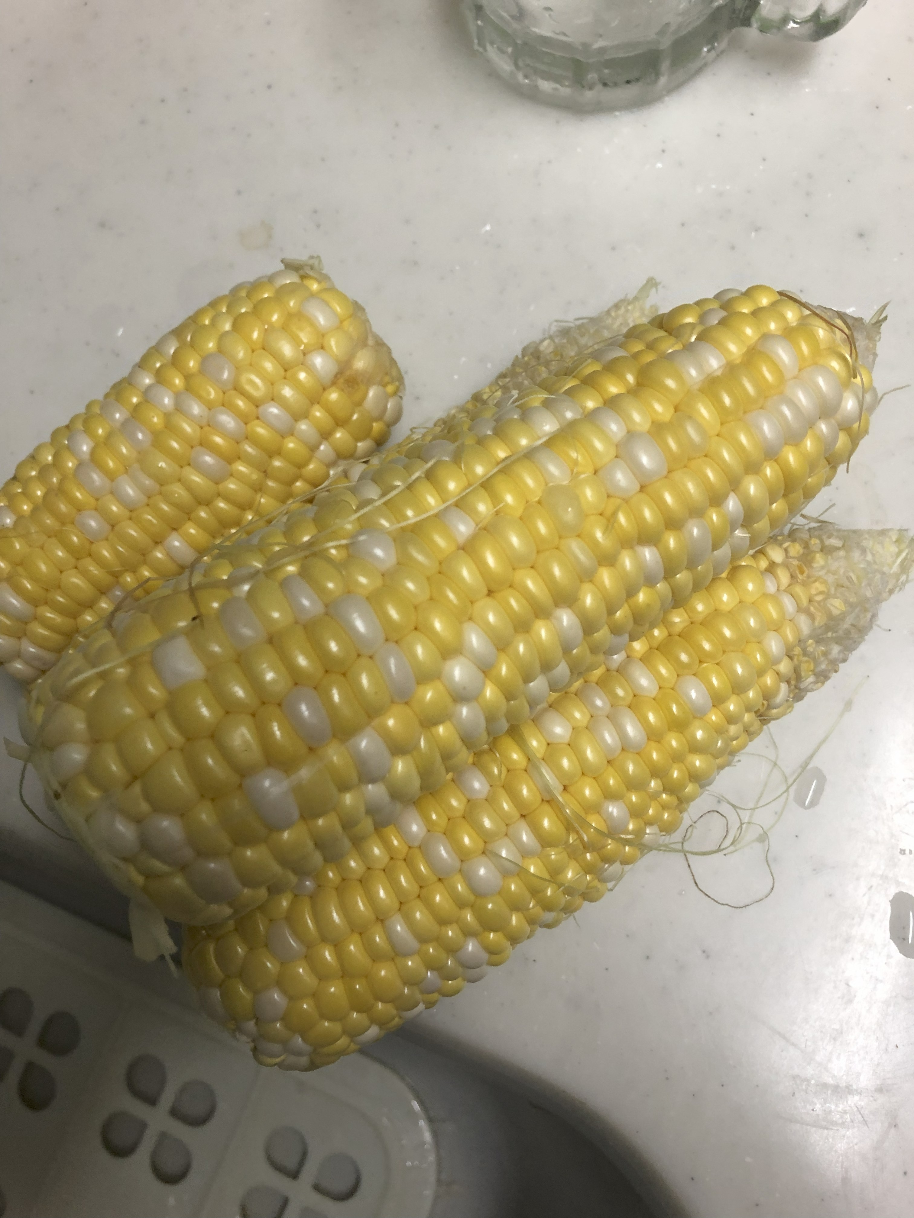背丈の小さいトウモロコシ