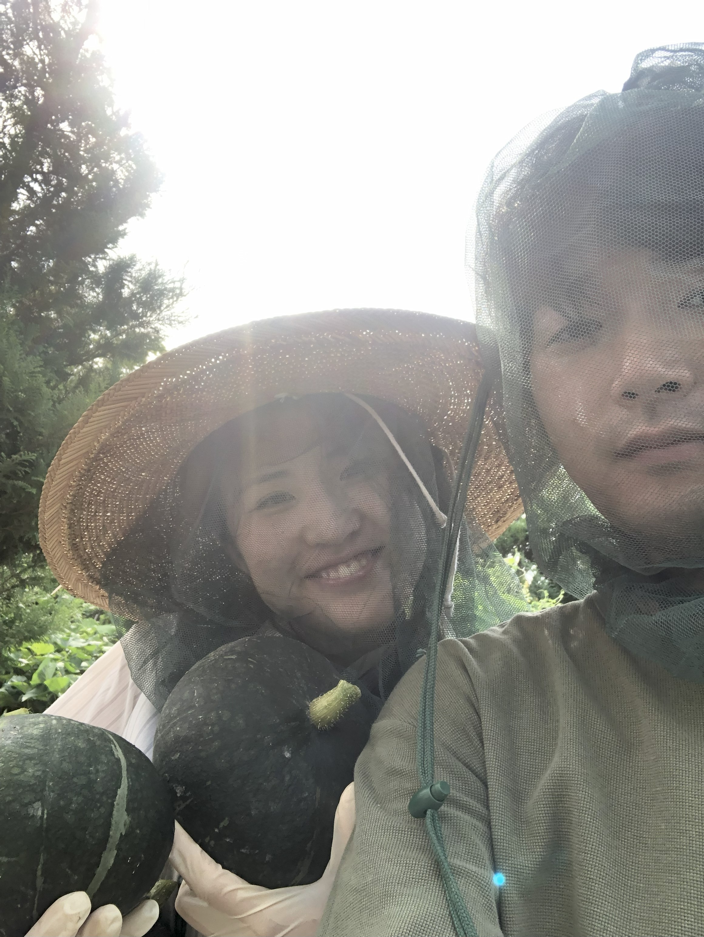 妻と一緒に野菜を収穫した様子