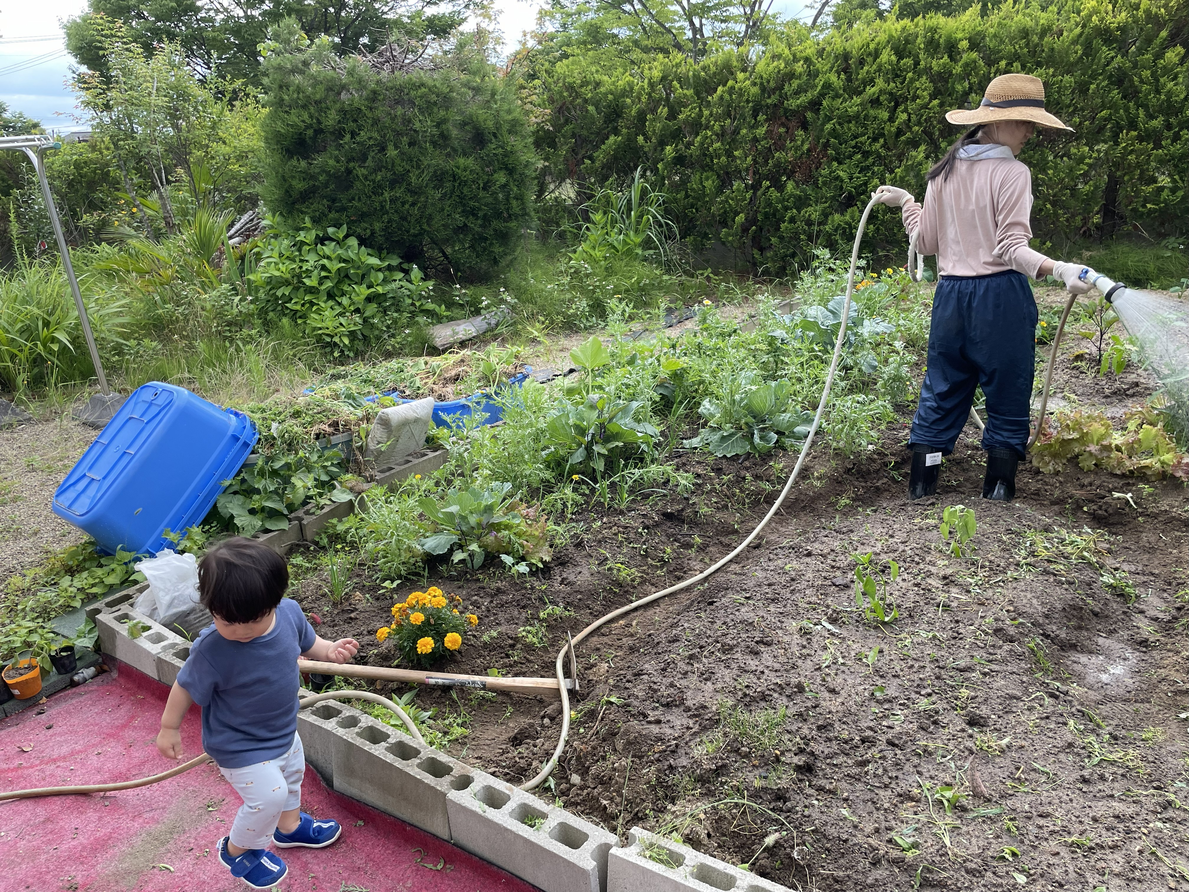 Child helping in the garden
